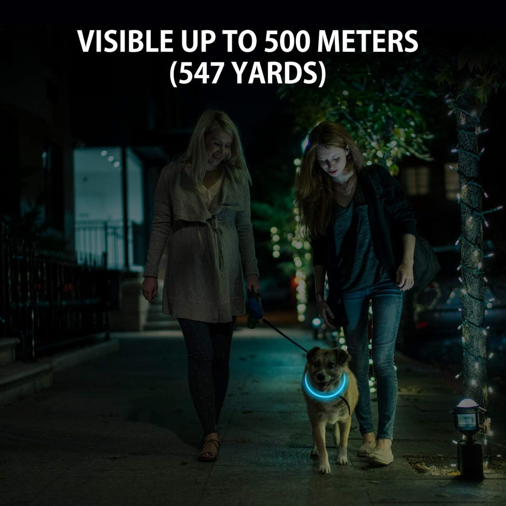 Skiennix LED Dog Collar - Rechargeable Light-Up Safety Necklace for Night Walking | 2-Pack Green & Blue