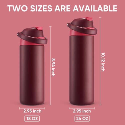 Fijinhom 18 oz Insulated Stainless Steel Water Bottle - 2-in-1 Straw & Push-Button Lid | Keeps Drinks Cold for 24 Hours, Red