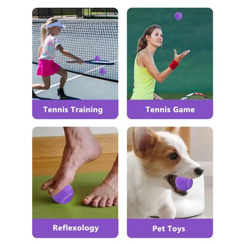 URBEST Tennis Ball, 10PCS Training Tennis Balls, Comes with a Net Bag for Easy Carrying, Beginner Training Tennis Balls, Pet Dog Exercise Ball(Purple)