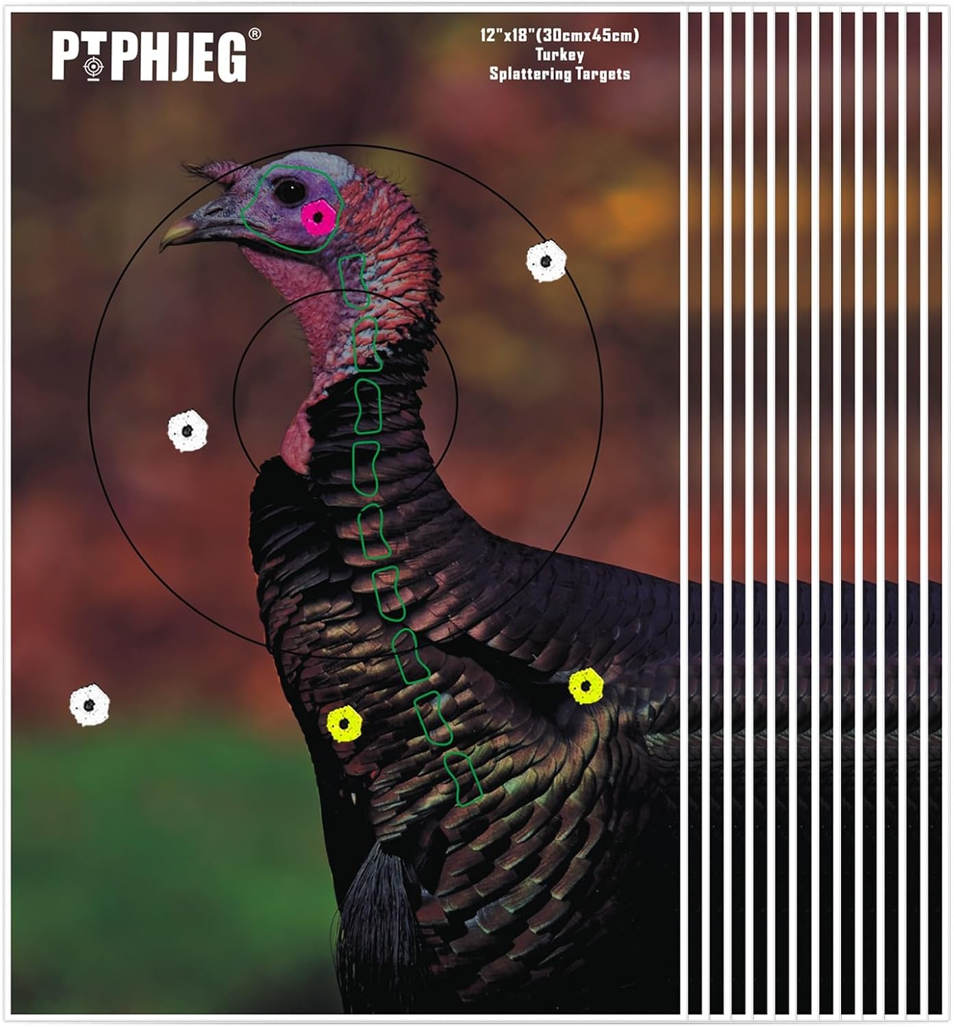 Photo-Realistic Small Game Animal Targets by [Brand Name] - Reflective Turkey Targets | 12"x18" - 10/25/50 Pack