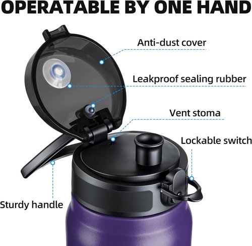 Fanhaw 20 Oz Insulated Stainless Steel Water Bottle - Leak-Proof Chug Lid | BPA-Free & Wide Mouth (Purple Green)