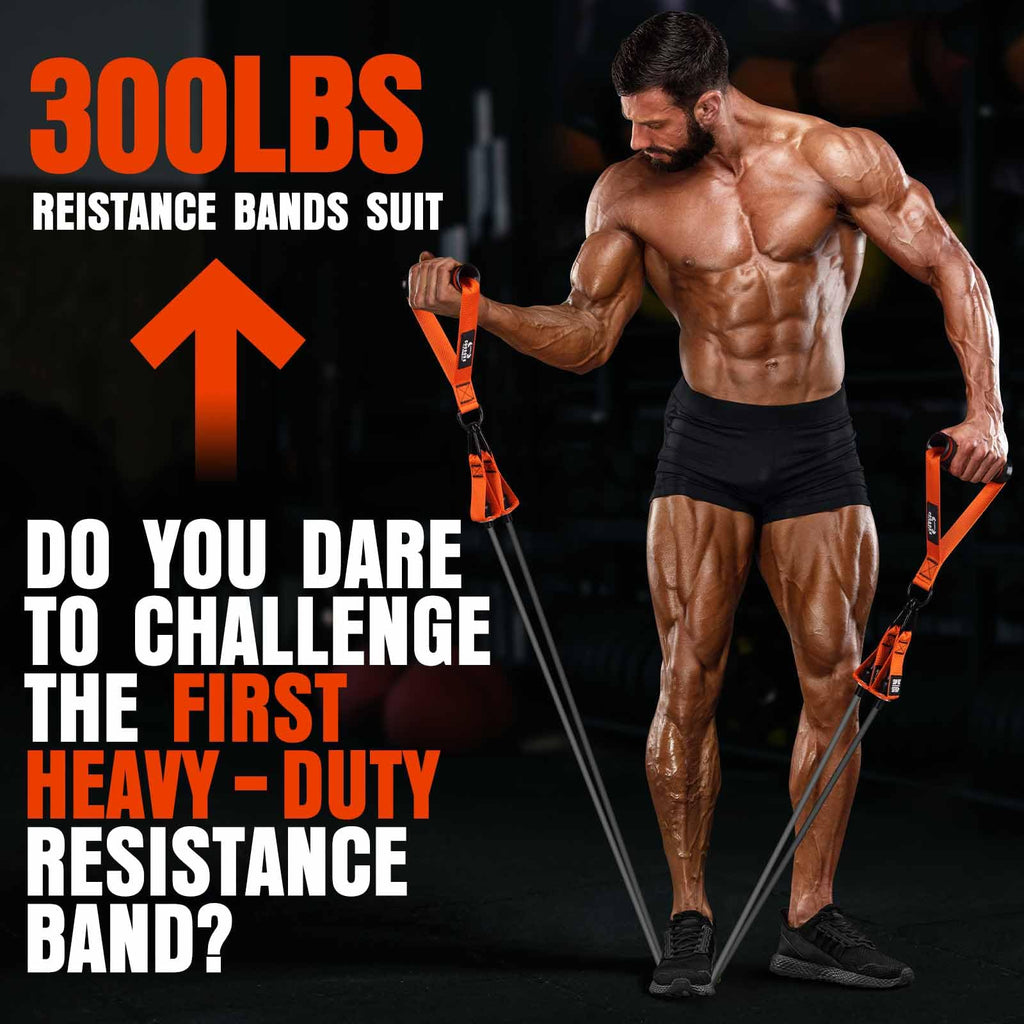 Resistance Bands, 300LBS Exercise Bands with Handles, Workout Bands with Door Anchor and Ankle Straps, Heavy Fitness Bands for Training, Physical Therapy, Shape Body, Yoga, Home Workout