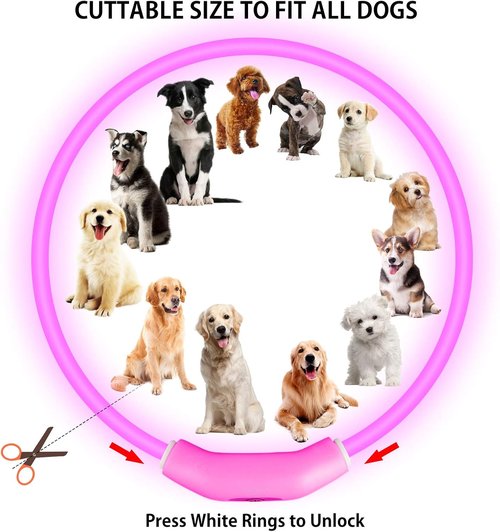 Novkin LED Dog Collar - Rechargeable Light-Up Safety Necklace for Night Walking | 2-Pack, Red & Pink