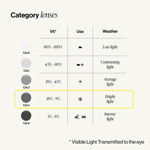 IZIPIZI SUN #C Sunglasses Men & Women – Pantos with Biobased Frame, Anti-Scratch Grey Lenses, 100% UV Category 3 Protection (Tortoise)