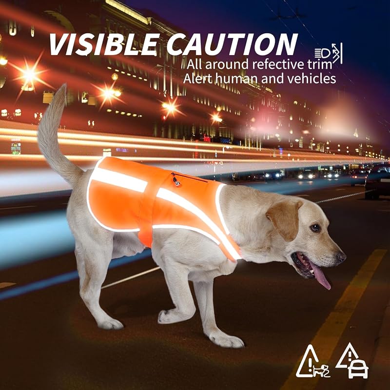 Reflective Dog Vest Blaze Orange - High Visibility Safety Harness with Removable Bell (Variation: Blaze Orange+L) for Medium to Large Breeds