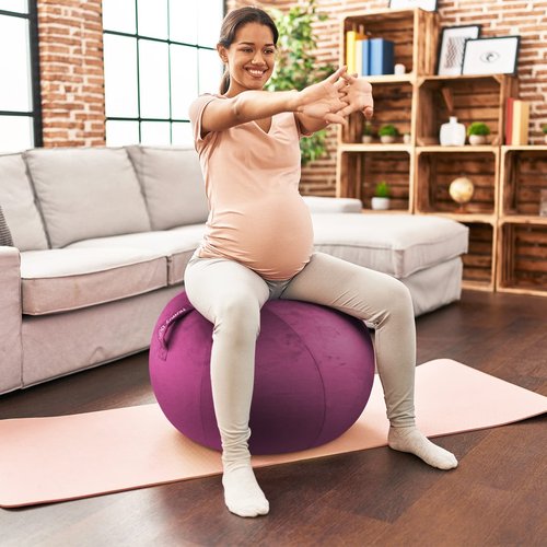 Howdy Bally Protective Cover for Home-Use Yoga/Exercise/Balance Ball with Convenient Carry Handles - Foldable, Durable Anti-Burst Cover for Sitting Ball Chair, Office Use - 55cm