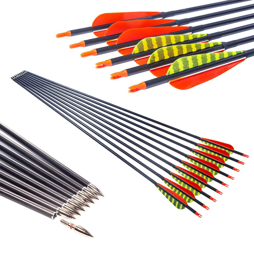 Pinals Traditional Archery 300 340 400 500 600 700 Spine Carbon Feather Arrows for Recurve Compound Bow Longbow Hunting Targets Arrow 12PCS 400 31"