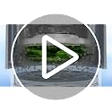 WITHWELL White Food Dehydrator for Healthy Recipes & Vegan Cuisine
