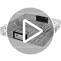 Humane Multi-Catch Squirrel Trap - 1 Pack for Wildlife Control
