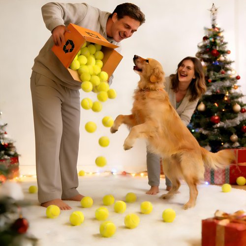 INSUM 60 Pack Bulk Tennis Balls – High Elasticity Practice Tennis Balls with Mesh Bags, Portable for Pet Dog Outdoor Playing, Training, Fetching