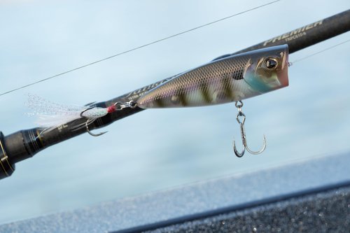Berkley Bullet Pop Topwater Fishing Lure, Black Chrome, 2/5 oz, 70mm | 2.75in Topwater, Tail Weighted Design Tuned for Maximum Casting Distance, Equipped with Fusion19 Hook