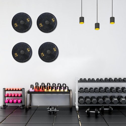 Wall Mounted Weight Plate Rack: Wall Mounted Weight Rack Storage for 2" Olympic Weight Plate - Wall Mounted Weight Plate Holder for Gym Home 4PCS