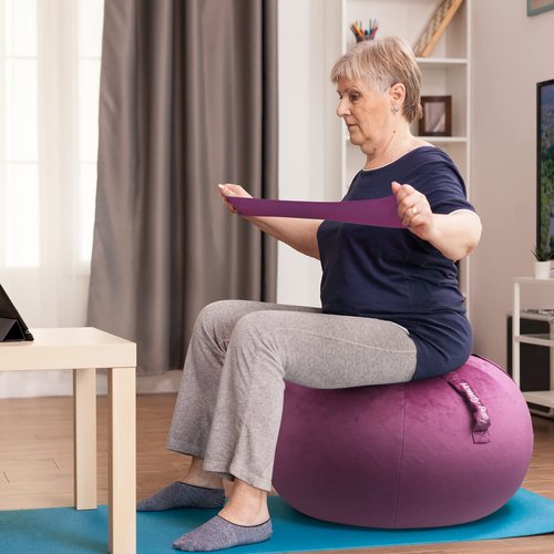 Howdy Bally Protective Cover for Home-Use Yoga/Exercise/Balance Ball with Convenient Carry Handles - Foldable, Durable Anti-Burst Cover for Sitting Ball Chair, Office Use - 55cm
