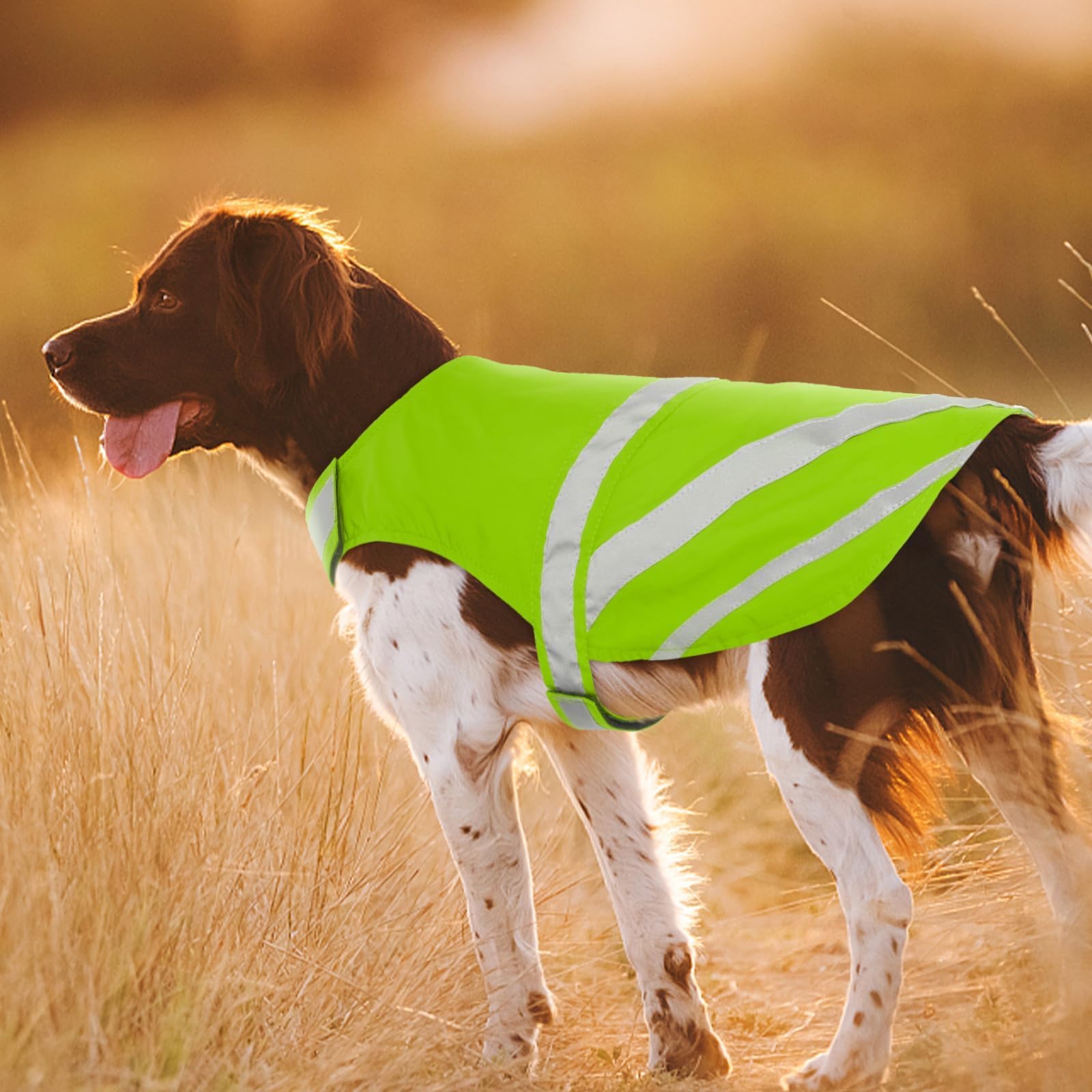Kuoser Reflective Dog Vest, High Visibility Safety Vest for Medium to Large Dogs, Lightweight Pet Reflective Vests for Hunting Outdoor Activities Walking at Night, Fluorescent Green M