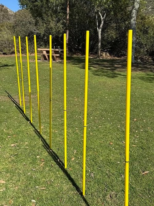 BlueDot Trading Soccer Agility Poles - Telescopic & Collapsible Options | Speed Training Sets (4, 6, 8 Pieces)