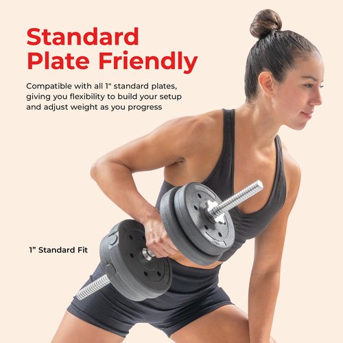 Sunny Health & Fitness 24" Standard Threaded Dumbbell Handle with Star-Lock Collars – Solid Steel, Fits 1" Plates, Knurled Grip, Chrome Finish - SF-SB01-24
