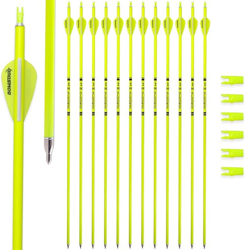 Carbon Arrow Archery | 30-Inch Bright Color Hunting Target Practice Arrows - Spine 500, Pack of 12