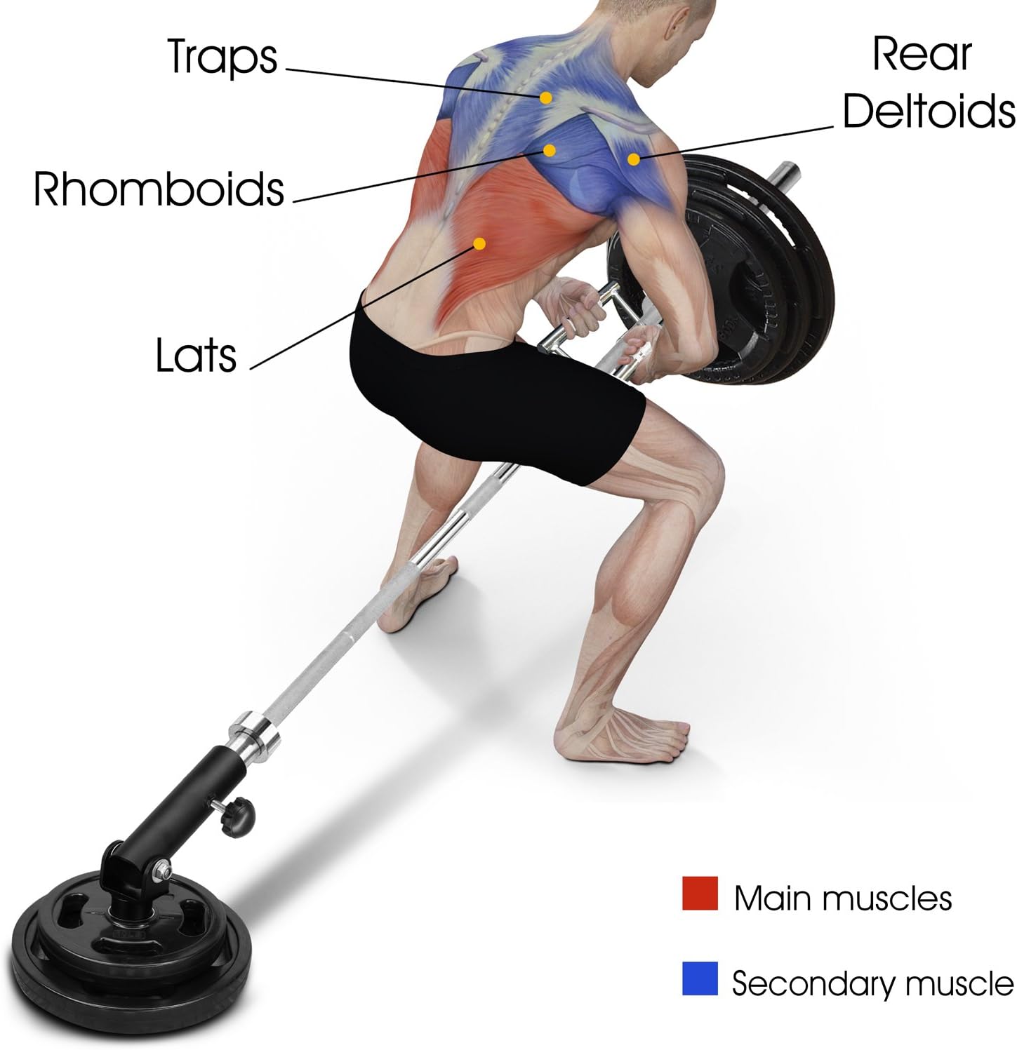 Yes4All T-Bar Row Landmine Attachment - Fits 1" & 2" Olympic Bars - 360° Swivel, Easy Installation