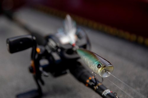 Berkley Bullet Pop Topwater Fishing Lure, Black Chrome, 2/5 oz, 70mm | 2.75in Topwater, Tail Weighted Design Tuned for Maximum Casting Distance, Equipped with Fusion19 Hook