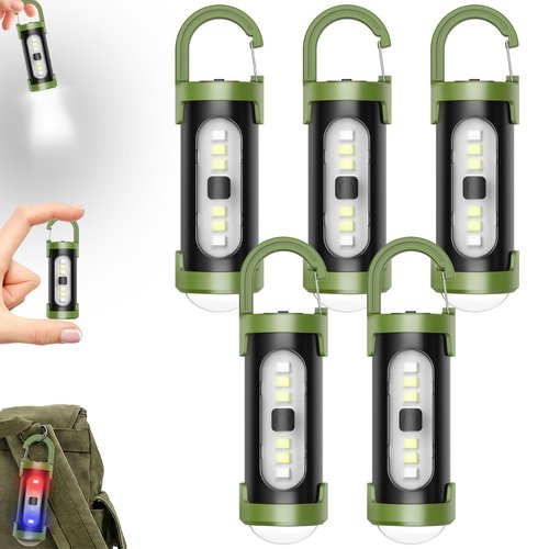 BULLIX 5 Packs Portable Rechargeable Bright Keychain Flashlight Phone Charger, High Lumen Mini EDC Flashlights with 4 Light Modes, Mini LED Keychain Flashlight USB Torch Be Used for Camping and Hiking