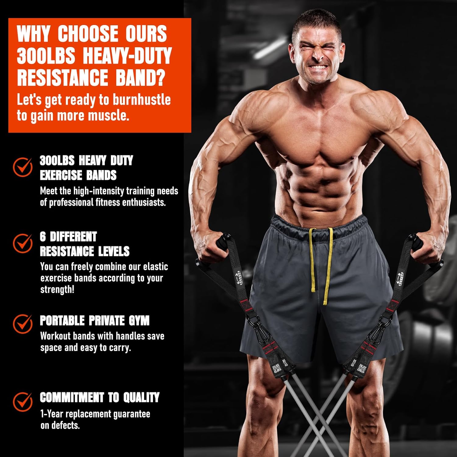 Skiennix Heavy Resistance Bands - 300LBS Exercise Bands with Handles for Strength Training | Home Gym Equipment