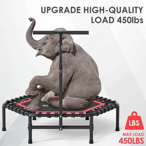 CLORIS 45'' Rebounder Trampoline for Adults - Max Load 450lbs, Trampoline with Adjustable Foam Handle Indoor/Outdoor Fitness Body Exercise
