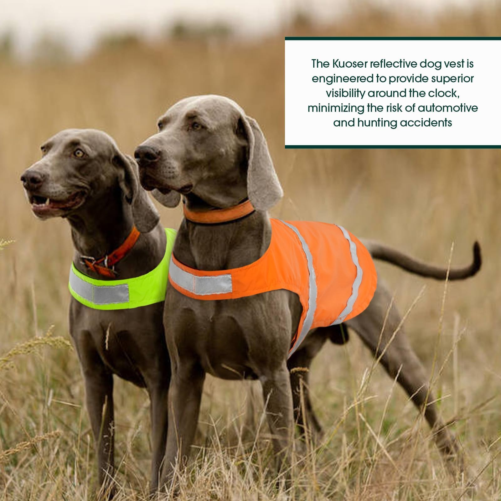Kuoser Reflective Dog Vest, High Visibility Safety Vest for Medium to Large Dogs, Lightweight Pet Reflective Vests for Hunting Outdoor Activities Walking at Night, Blaze Orange 3XL