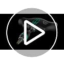 Wera Classic Solid T-Handle Screwdriver with Ratchet & Rapidaptor, 1/4"