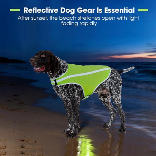 FUAMEY Dog Reflective Vest - High-Visibility Safety Gear for Small Dogs | Water-Resistant, Adjustable, Neon Green XS