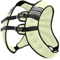 NATURELUX Weighted Vest with Reflective Stripe and Adjustable Buckle Straps, Pale Green, 25 lbs