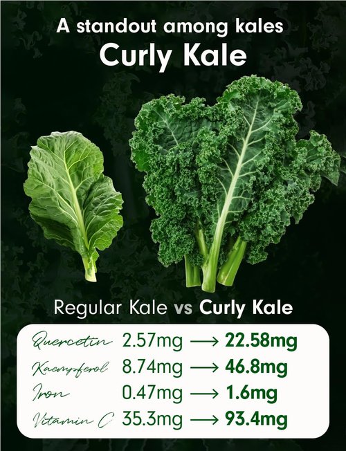(1+1)100% Freeze-Dried Curly Kale Powder, 1g x 14 Sticks, Single-Ingredient Vegetable Powder, Product of Poland