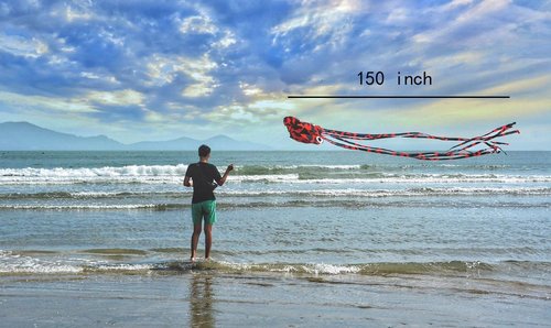Kizh Kite Octopus - Large Frameless Soft Parafoil Kite for Kids & Adults | Easy Flyer for Outdoor Fun, 150 Inches Long