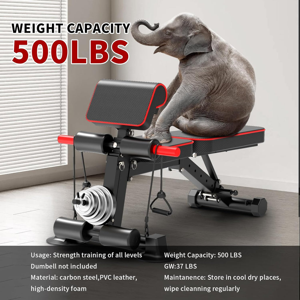 Skiennix Adjustable Weight Bench - Foldable Utility Workout Bench for Home Gym | Supports 600LBS