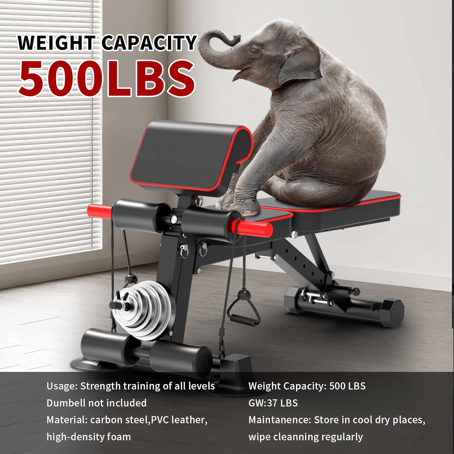 Skiennix Adjustable Weight Bench - Foldable Utility Workout Bench for Home Gym | Supports 600LBS