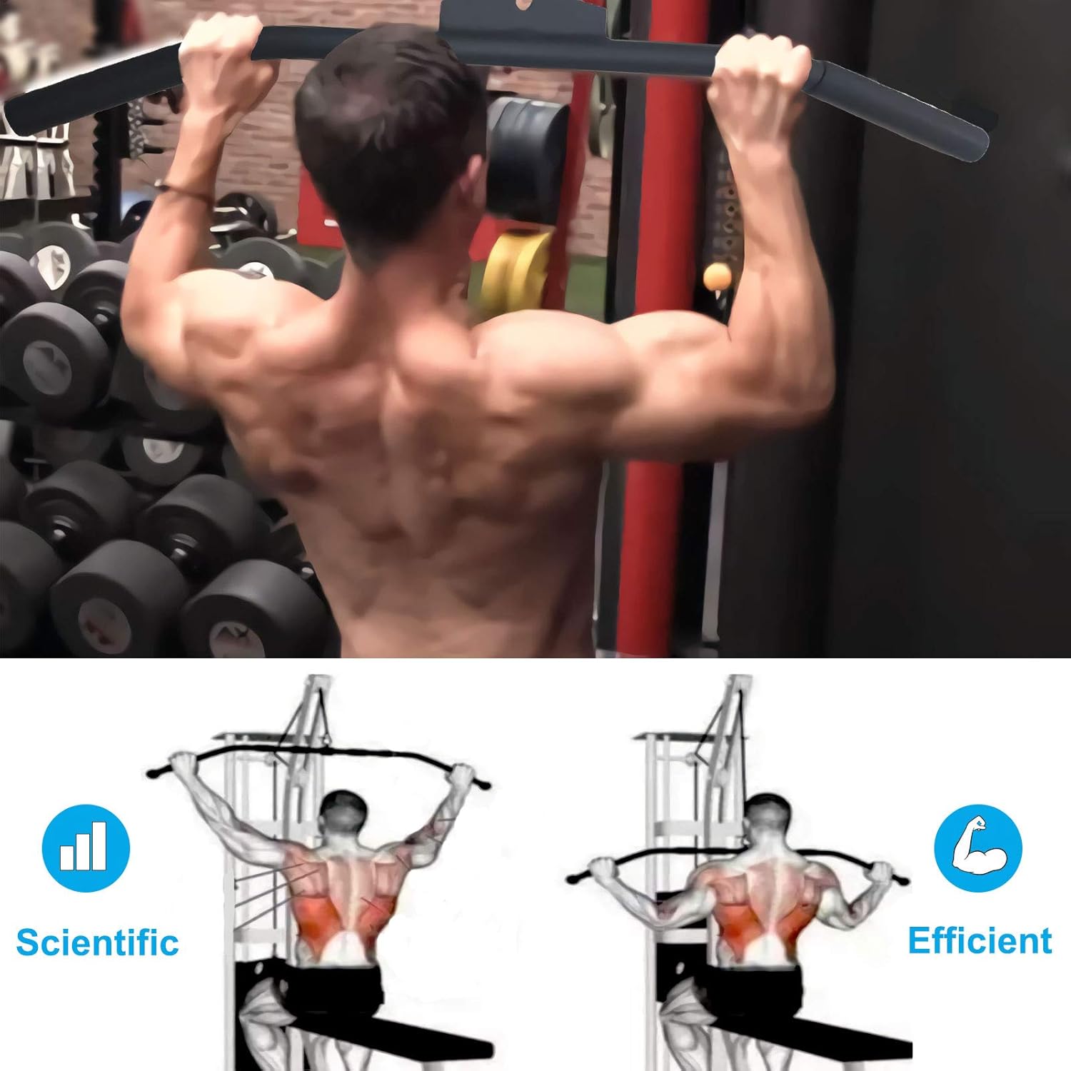 Skiennix Lat Pulldown Bar - 29/39/48 Inch Wide Grip with Non-Slip Handle for Home Gym Training