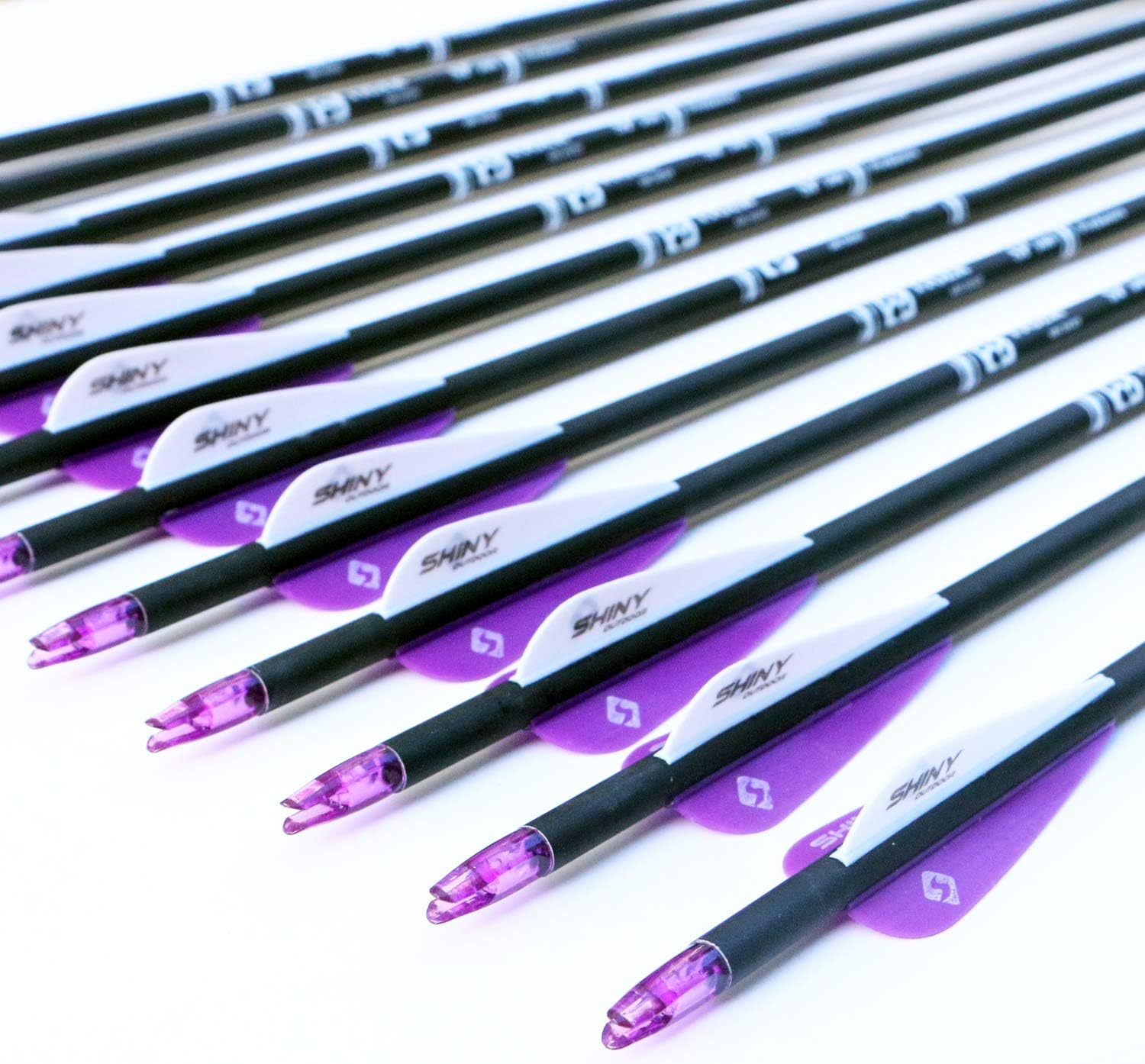Skiennix 30-Inch Carbon Hunting Arrows - Removable Tips for Compound & Recurve Bows | Pack of 12