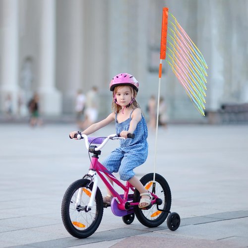 NQEUEPN Bike Flag, Adjustable Bicycle Flag with Pole for Safety Reflective Waterproof Warning Flag for Mobility for Tricycle Go Kart ATV (Light Gradient)