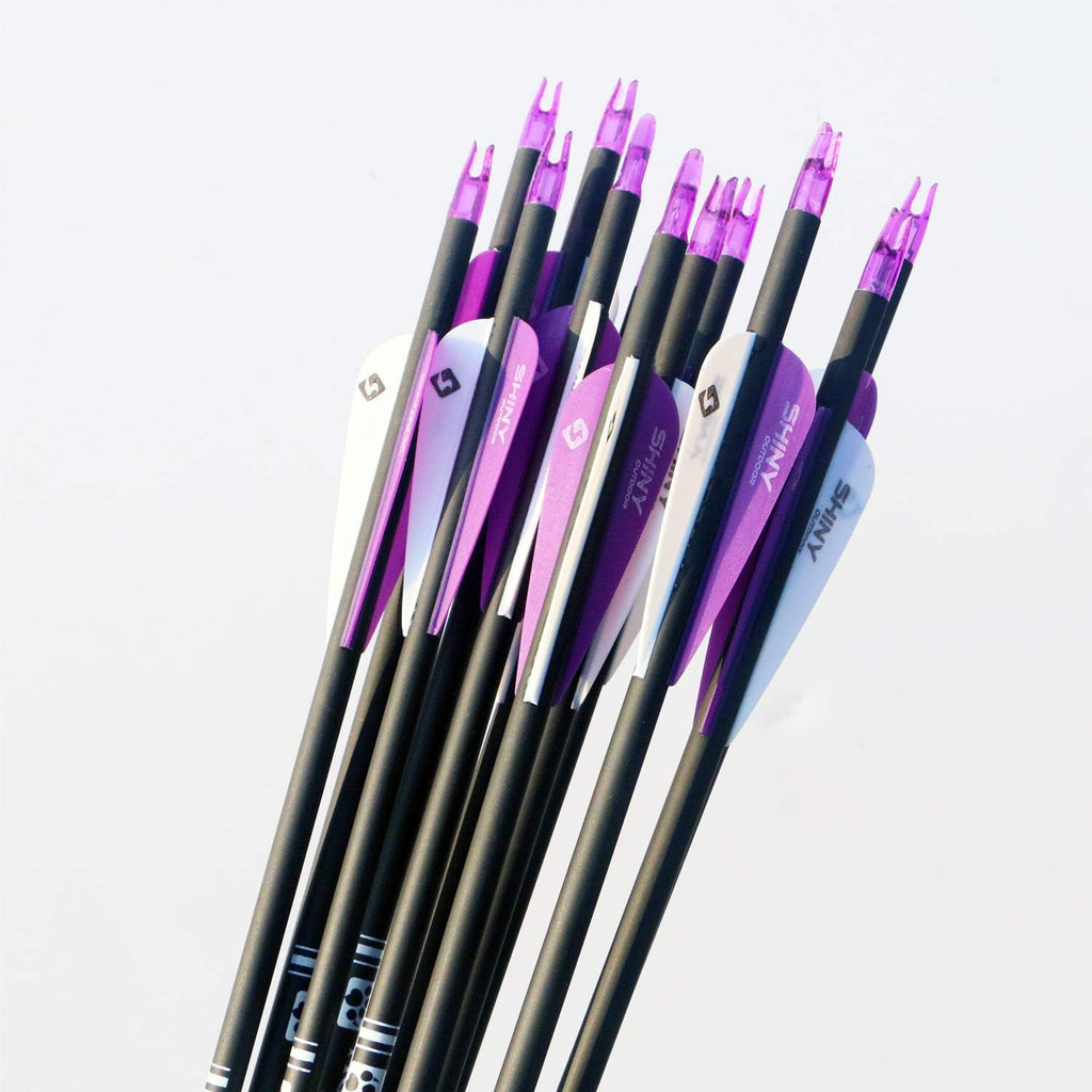 Skiennix 30-Inch Carbon Hunting Arrows - Removable Tips for Compound & Recurve Bows | Pack of 12