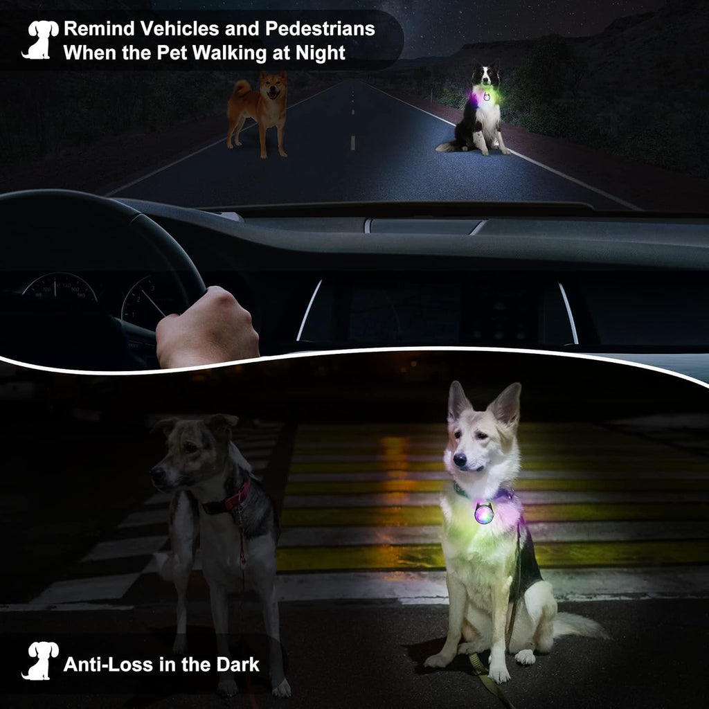 Skiennix Dog Collar Light - Rechargeable LED Night Walking Accessory | 4 Modes, IP68 Waterproof - 2 Pack (Black)