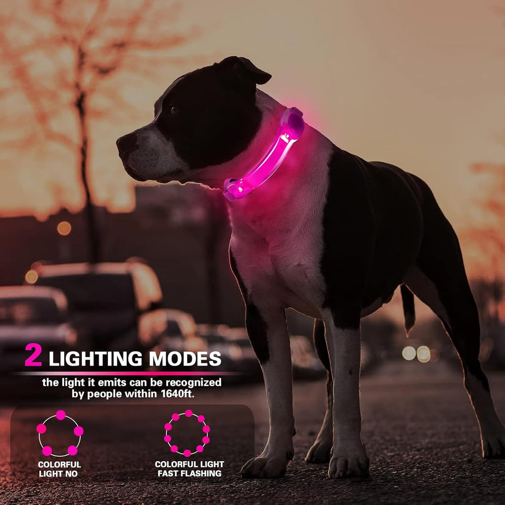 Skiennix LED Dog Light - Waterproof Glow Light for Collars & Leashes | Easy Attach, 2-Pack
