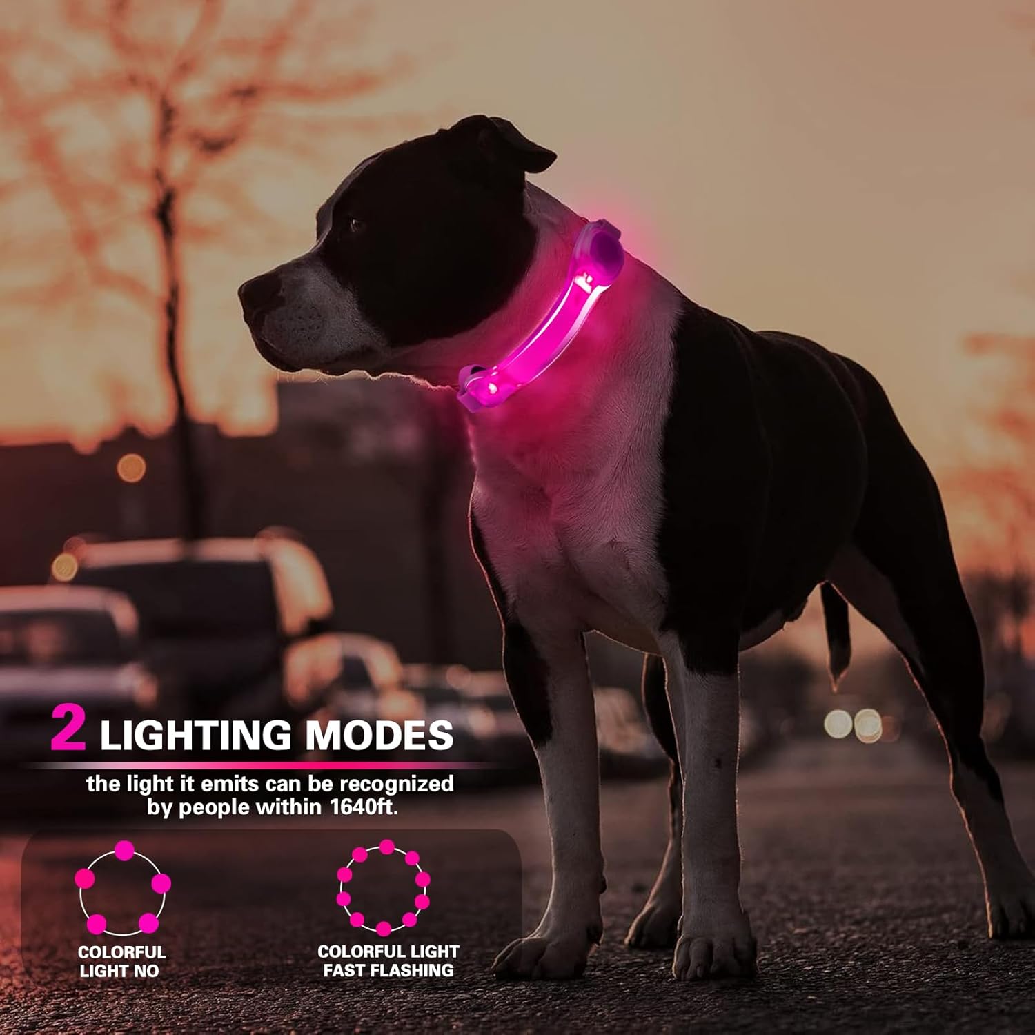 Skiennix LED Dog Light - Waterproof Glow Light for Collars & Leashes | Easy Attach, 2-Pack
