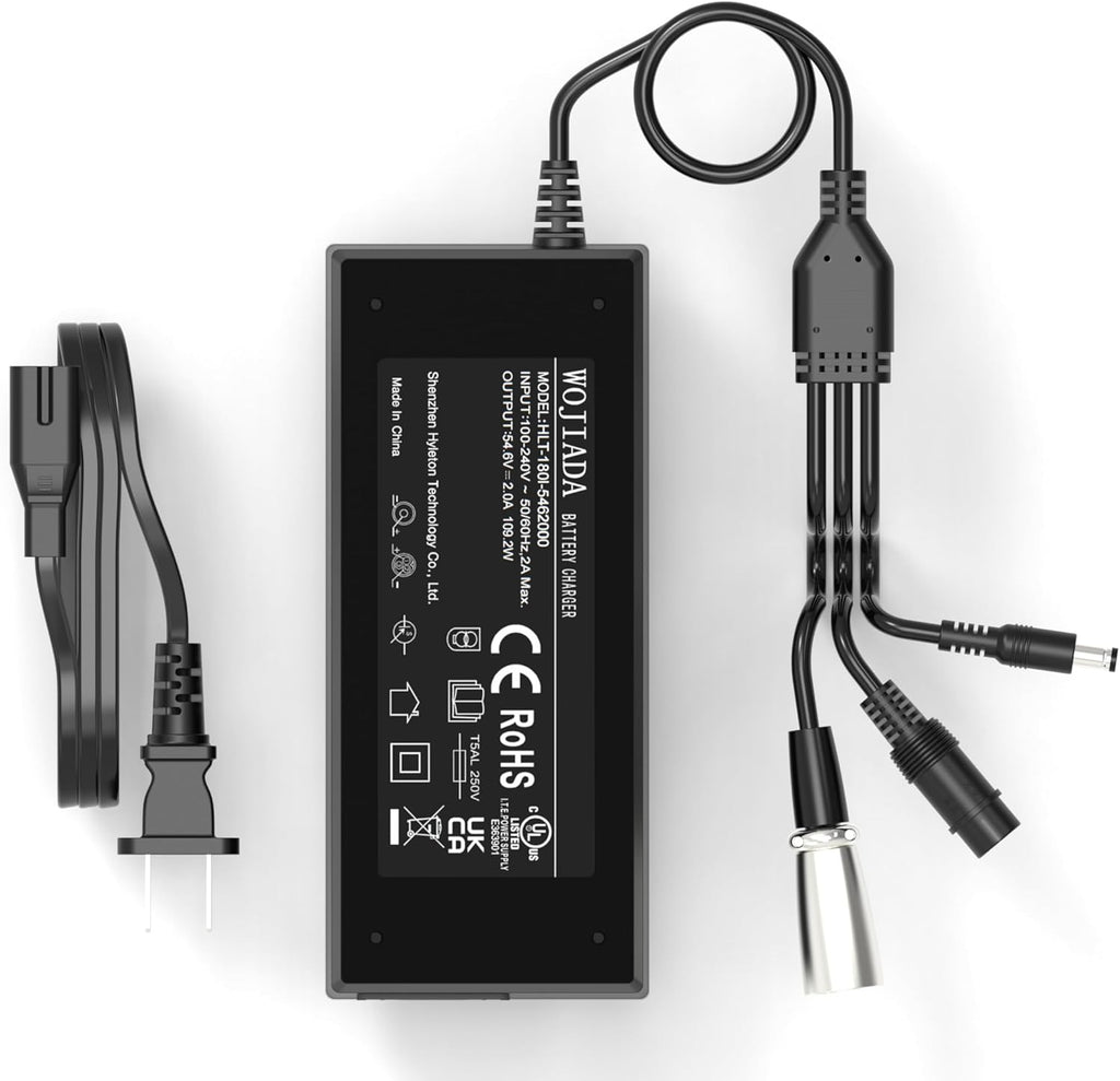 Skiennix Electric Ebike Charger - 54.6V 2A with 3 Plugs for 48V Battery | Compatible with F1, F2 Models