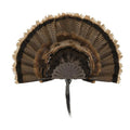 Allen Company EZ Mount Stackable Turkey Fan & Beard Display - Metal Trophy Mount - Wall Display for Turkey Slam & Hunting Trophy Rooms - Brown