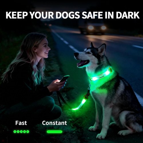 LaRoo Dog Collar Light - LED Safety Lights for Night Walking | Universal Fit for Leash & Harness (Green)