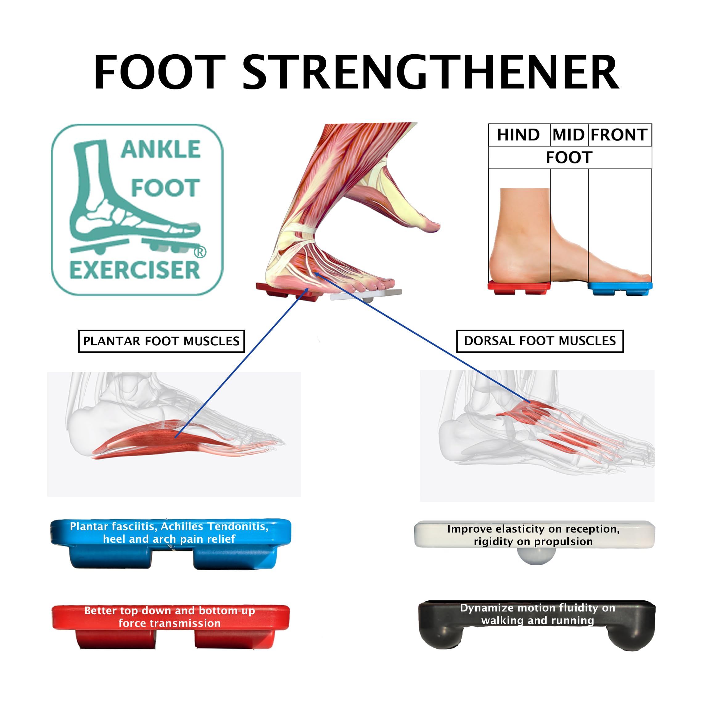 Ankle Foot Exerciser® Ankle Strengthener for ankle sprain relief, Foot Strengthener for plantar fasciitis; Ankle mobility, Posture corrector, Proprioception
