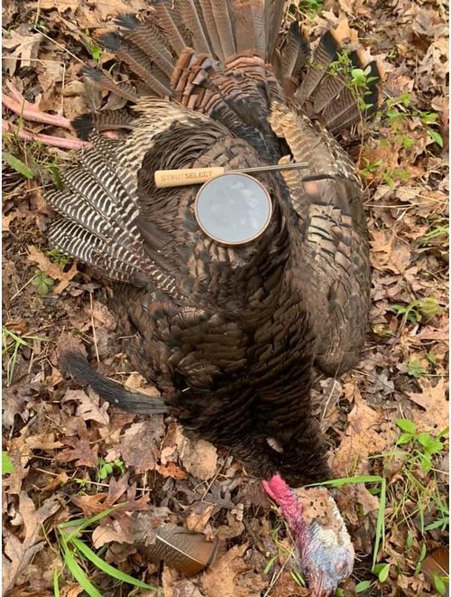 Hunters Specialties HS Strut Turkey Pot Call - American Kiln-Dried Walnut Wood Design