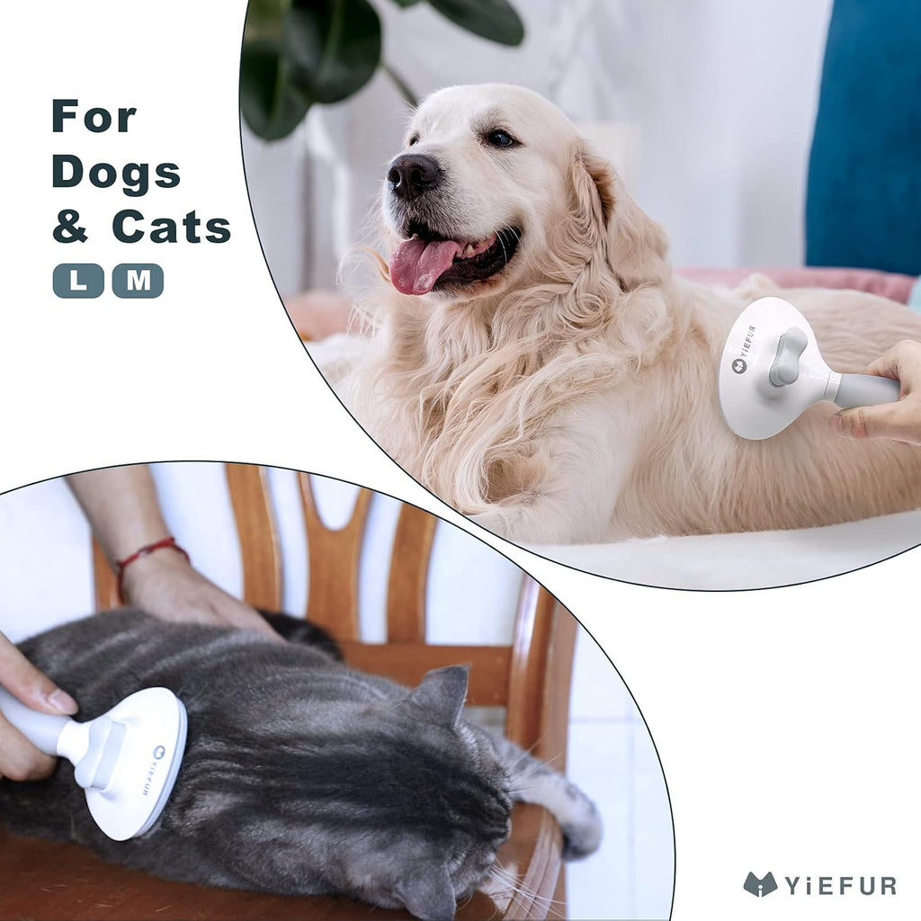 Skiennix Cat Hair Brush - Soft Silicone Self-Cleaning Grooming Tool for Shedding | Short & Long Haired Cats