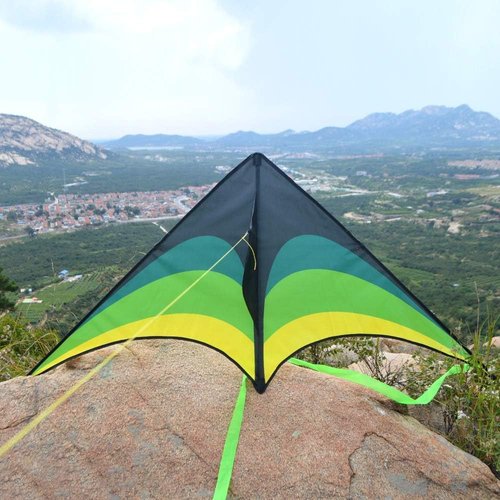 Mint's Colorful Life 60'' Delta Kite - Easy Flying with 7.1in Reel Winder | Perfect for Kids & Adults