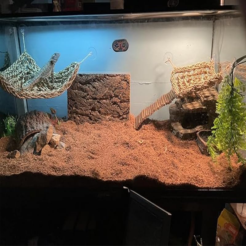 Triangular & Square Bearded Dragon Hammock Set with Reptile Vines – 5 PCS