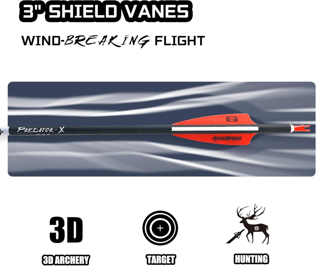 Skiennix 31-Inch Carbon Arrows - Removable Tips for Target Practice | Pack of 12 for Compound & Recurve Bows